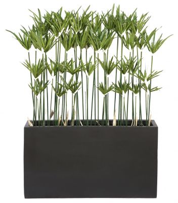 Kyoto Paapyrus Kunstpflanze im schwarzen Topf, detailreiche Dekoration für Innenräume, künstliche Pflanzen.